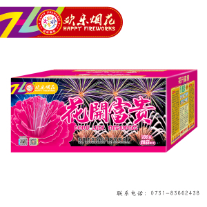 欢乐-1.2寸架空100发龙跃凤鸣/龙飞凤舞/龙凤呈祥/龙章凤彩